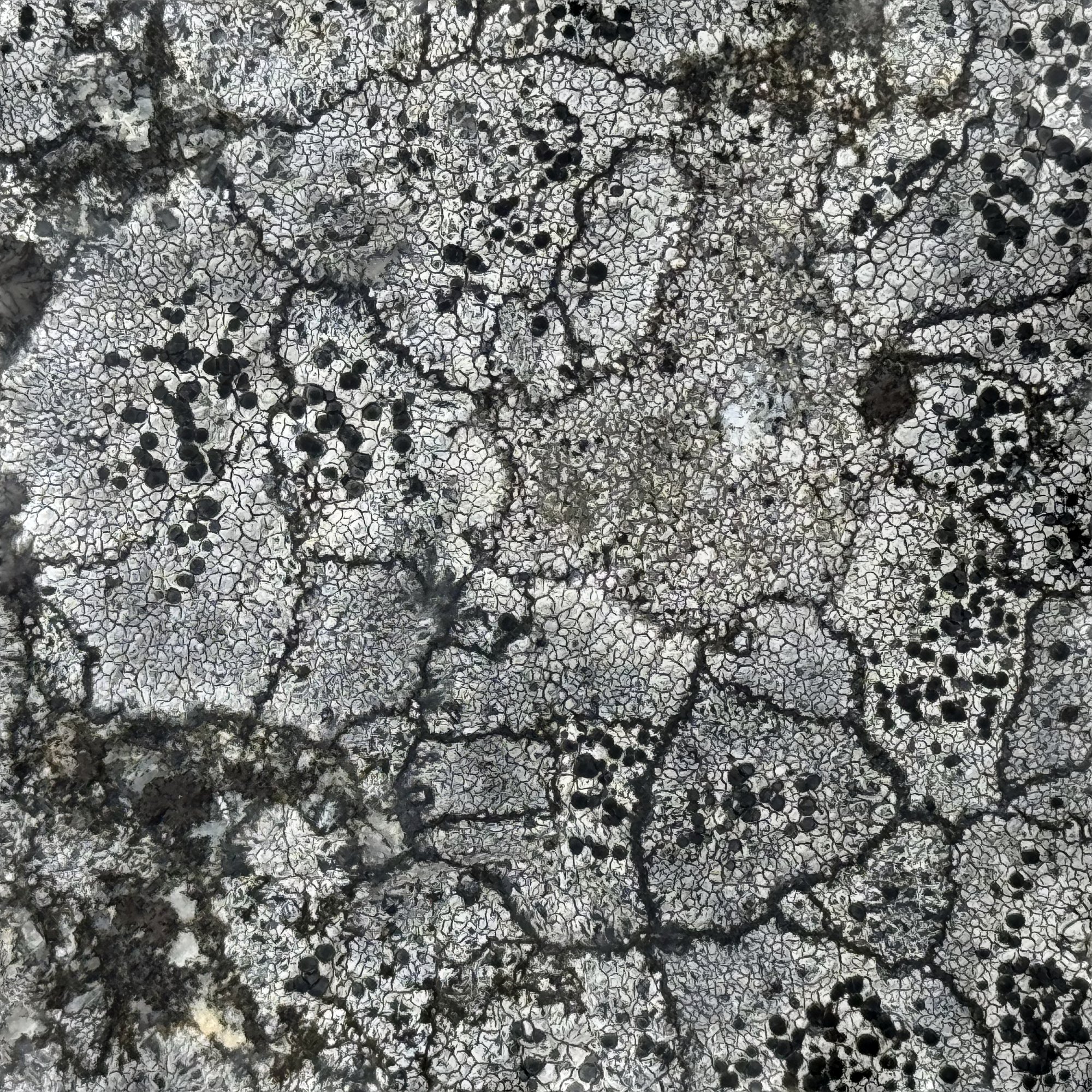 Flechten Muster 5x5 Einzelbild