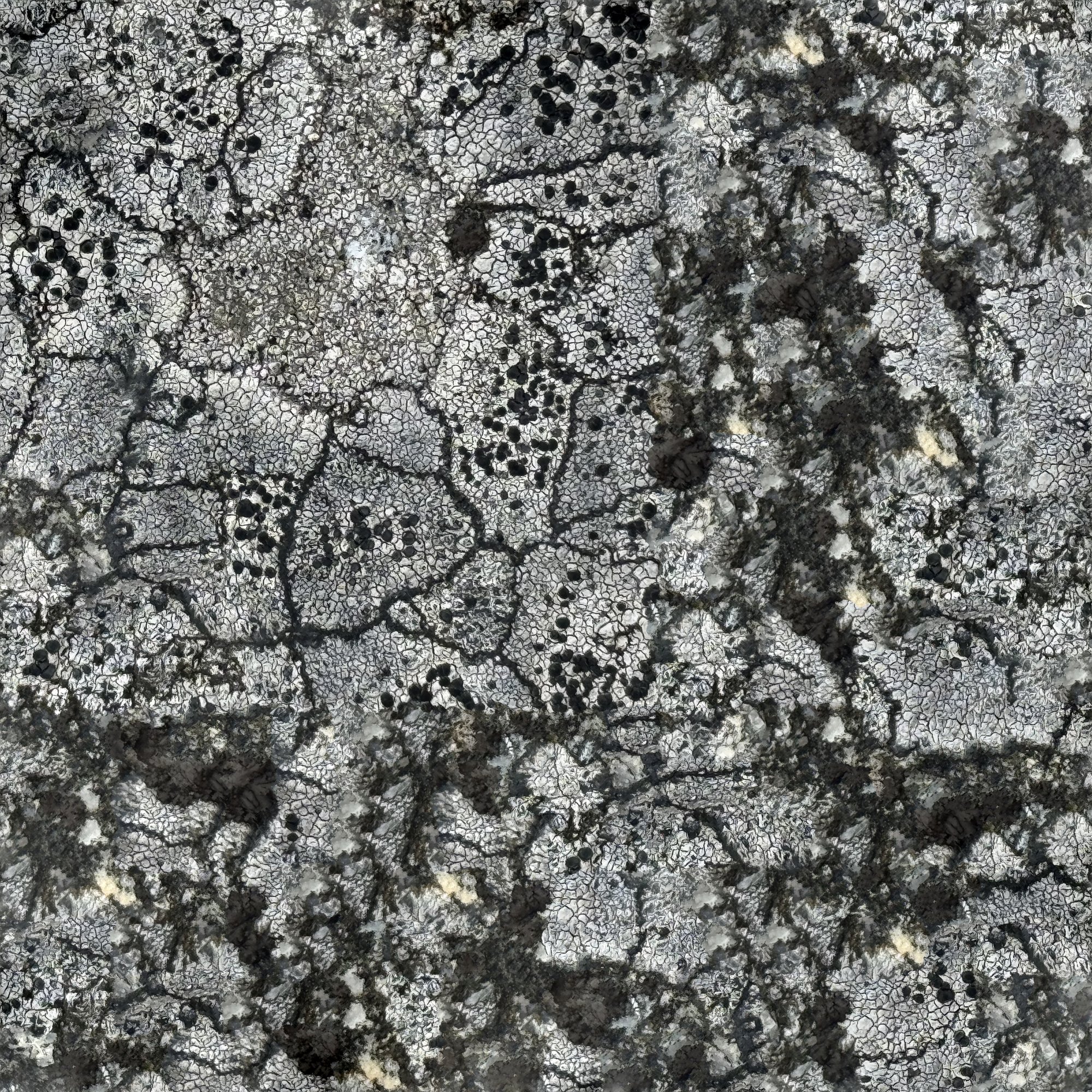 Flechten Muster neu Einzelbild